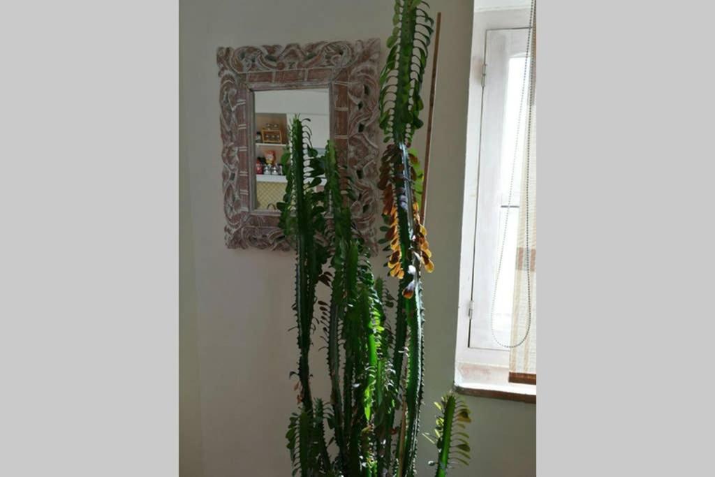 Apartamento Con Espectaculares Vistas! Tarifa Esterno foto